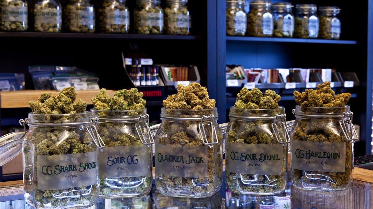 Herbal Care Llc Sues Nevada Over State Regulations Excessive Fines