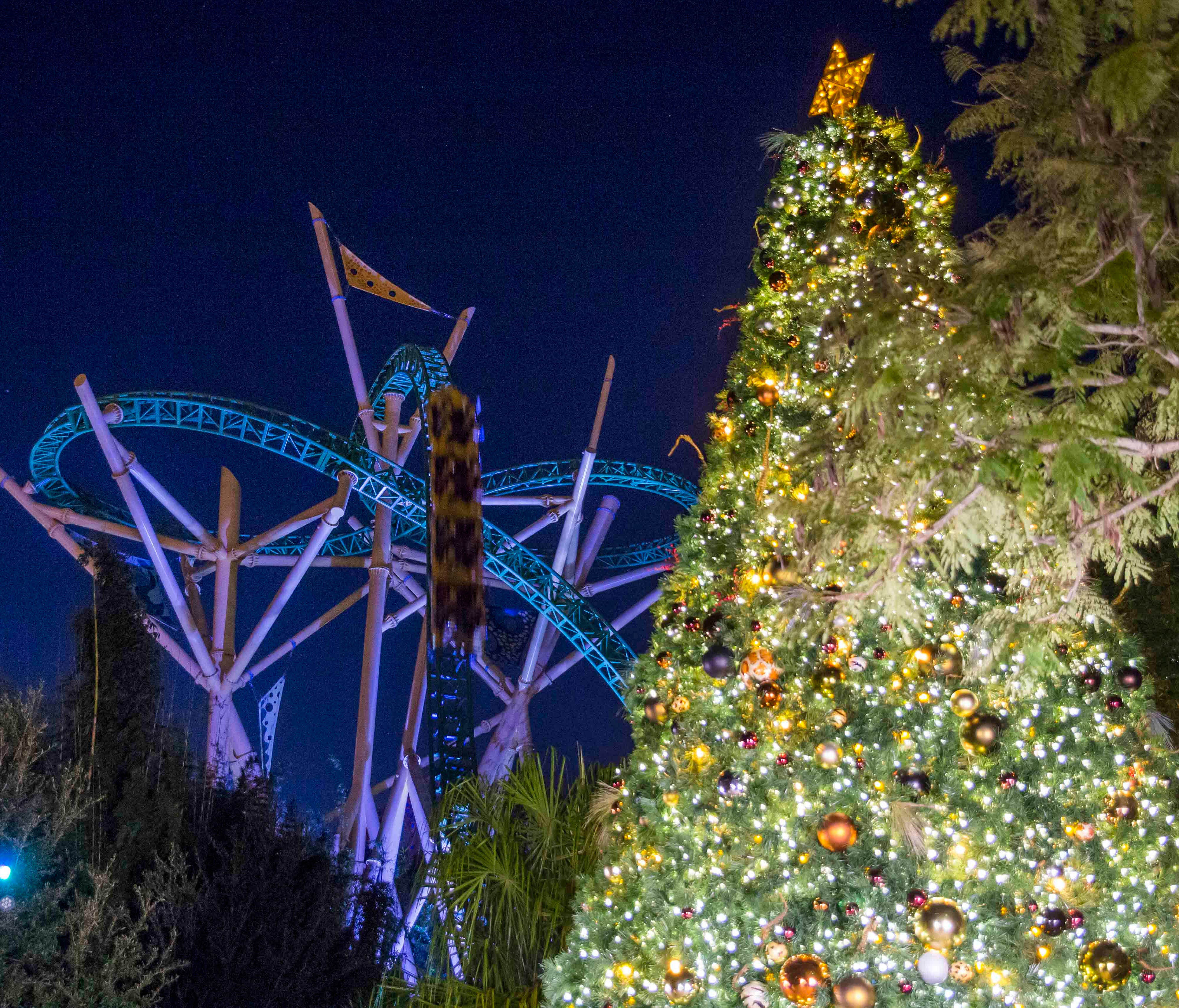Busch Gardens Tampa in Florida will also transform into Christmas Town on select days from November 19 to January 2.