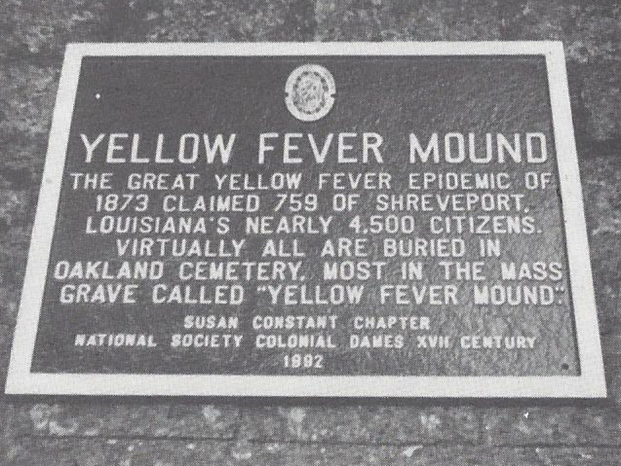 yellow fever epidemic essay Yellow fever essay outline in 9 south american countries it is an epidemic yellow fever is a virus that is carried by mosquitoes - catchable if bitten by . yellow fever epidemic essay Yellow fever essay outline in 9 south american countries it is an epidemic yellow fever is a virus that is carried by mosquitoes - catchable if bitten by .