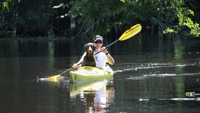 A local paddles down Canopy Creek in Palm City.