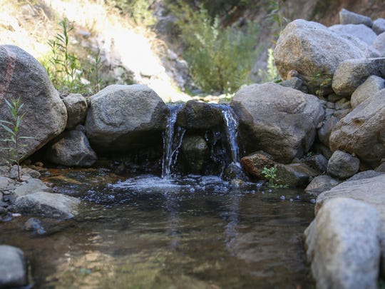 California Regulators To Nestle Halt Unauthorized Water