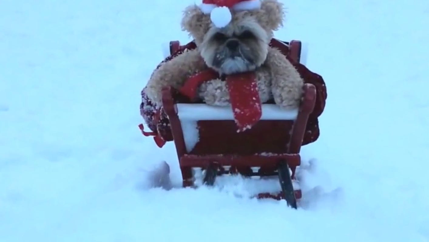 635542503914140263 Screen Shot 2014 12 15 At 2 25 58 Pm