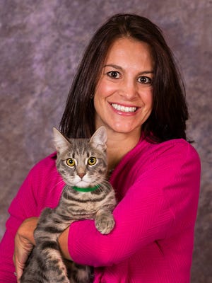 Animal Files Creating A Better Haven For Feral Cats