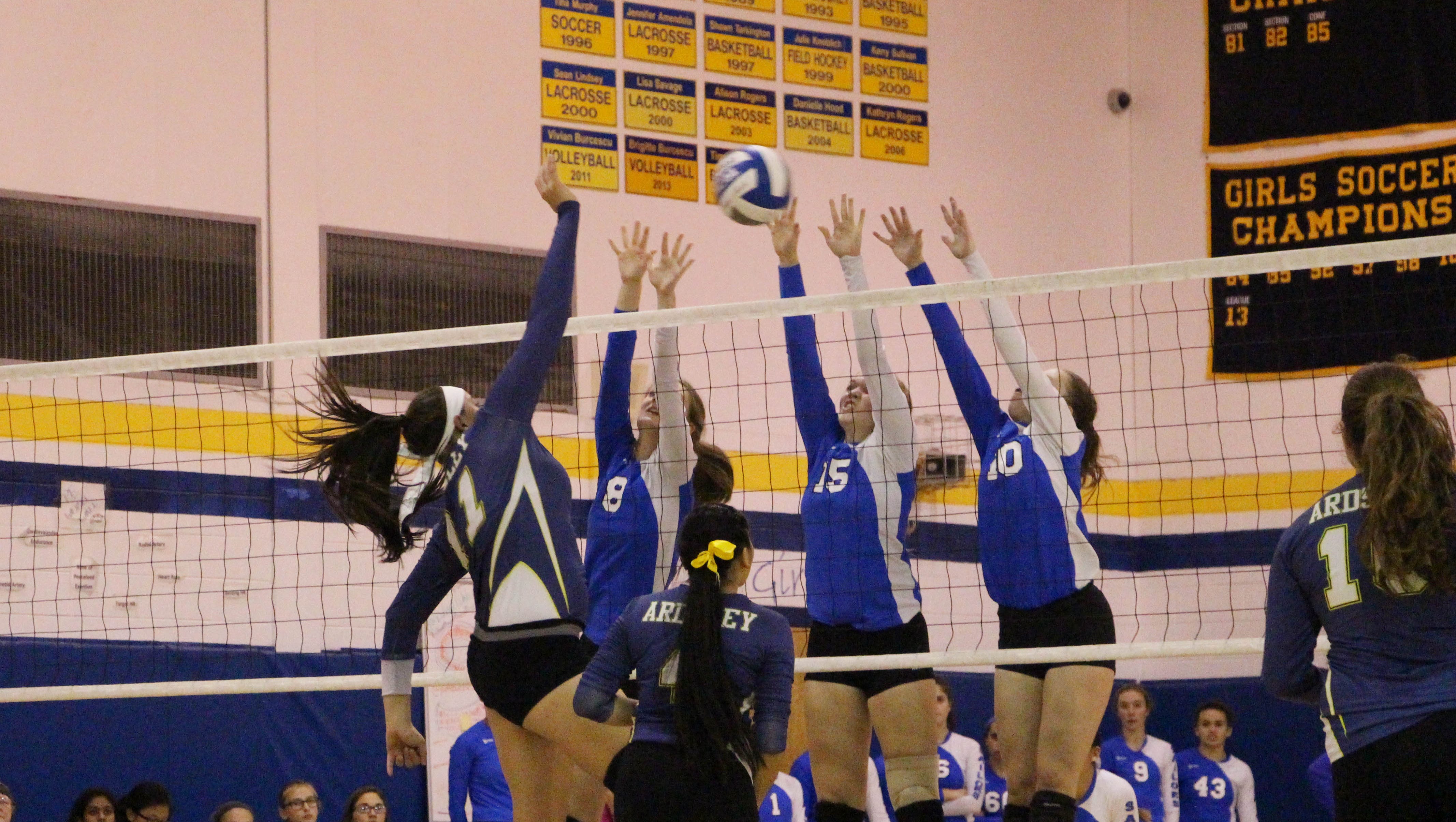 Volleyball rankings Section 1 tournament brings out the best