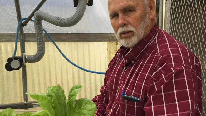 Rory Gresham, greenhouse manager for Richland Parish School Food Services, shows the root system on lettuce being grown in a hydroponic greenhouse.