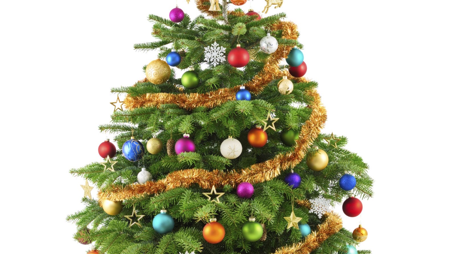 Get a real Christmas tree in or near Cheatham County