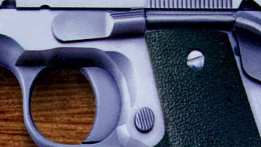 Ballot Measure In Oregon County Seeks To Nullify Gun Laws