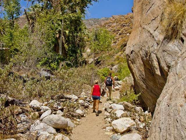 Palm Springs Area Hiking Trails For Memorial Day Weekend