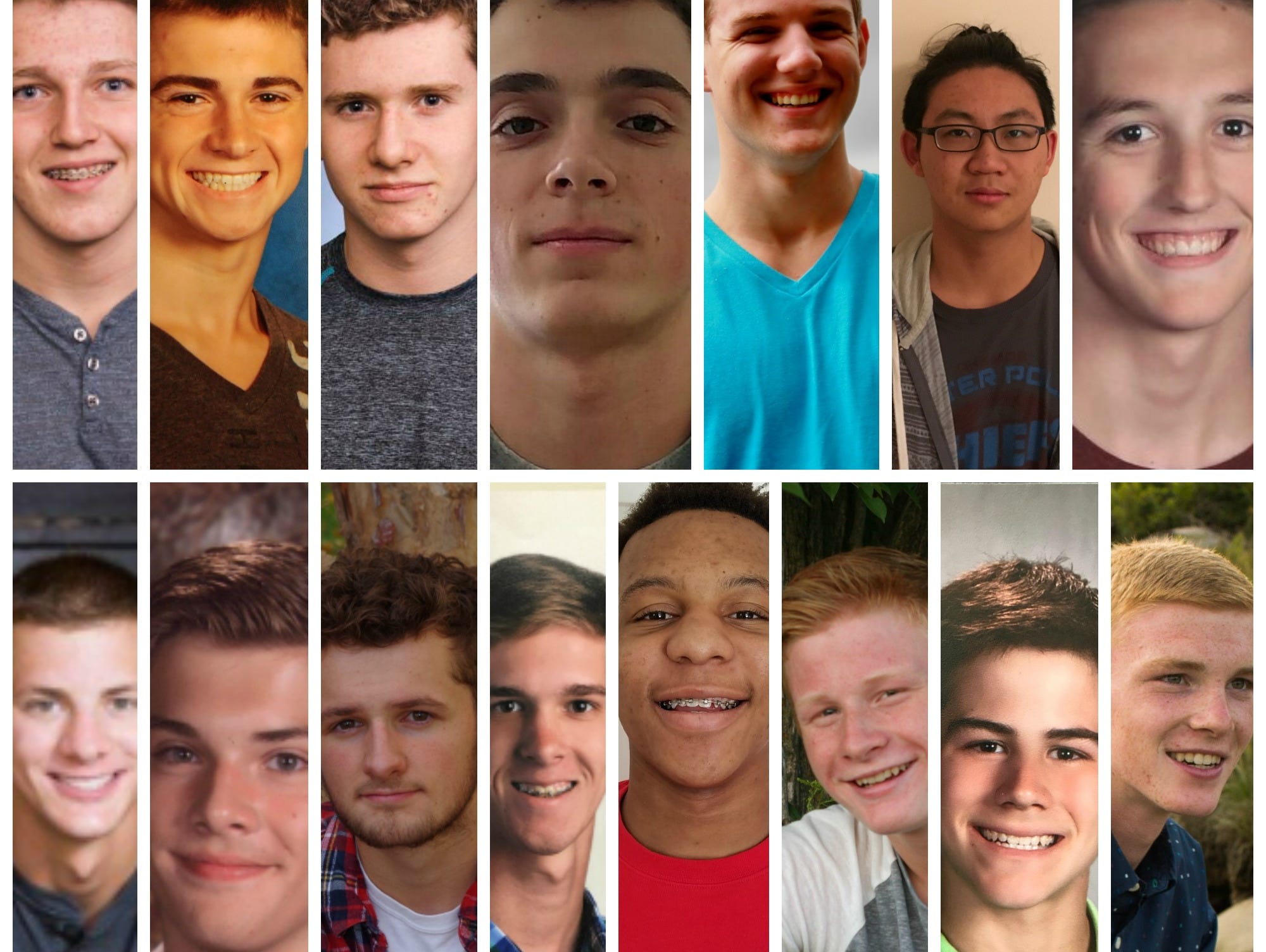 Meet the 2017 LSJ boys swim and dive dream team.