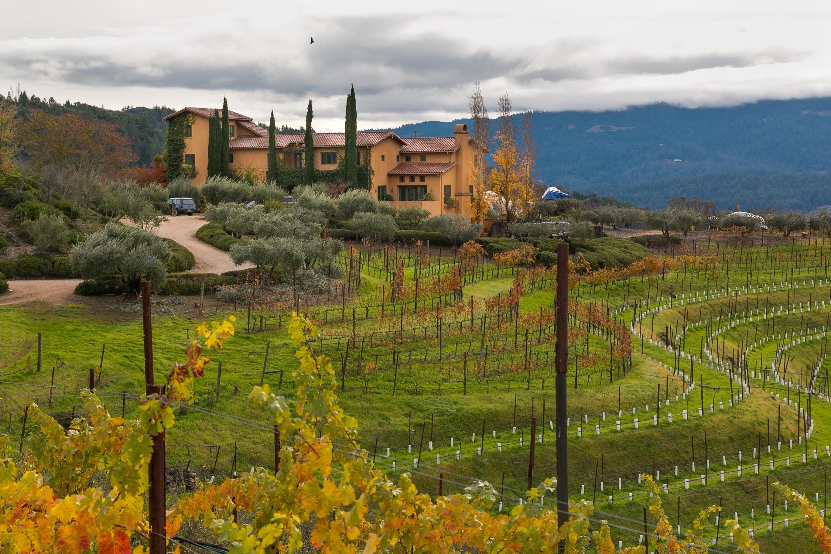 Legacy Wine Trail 2025