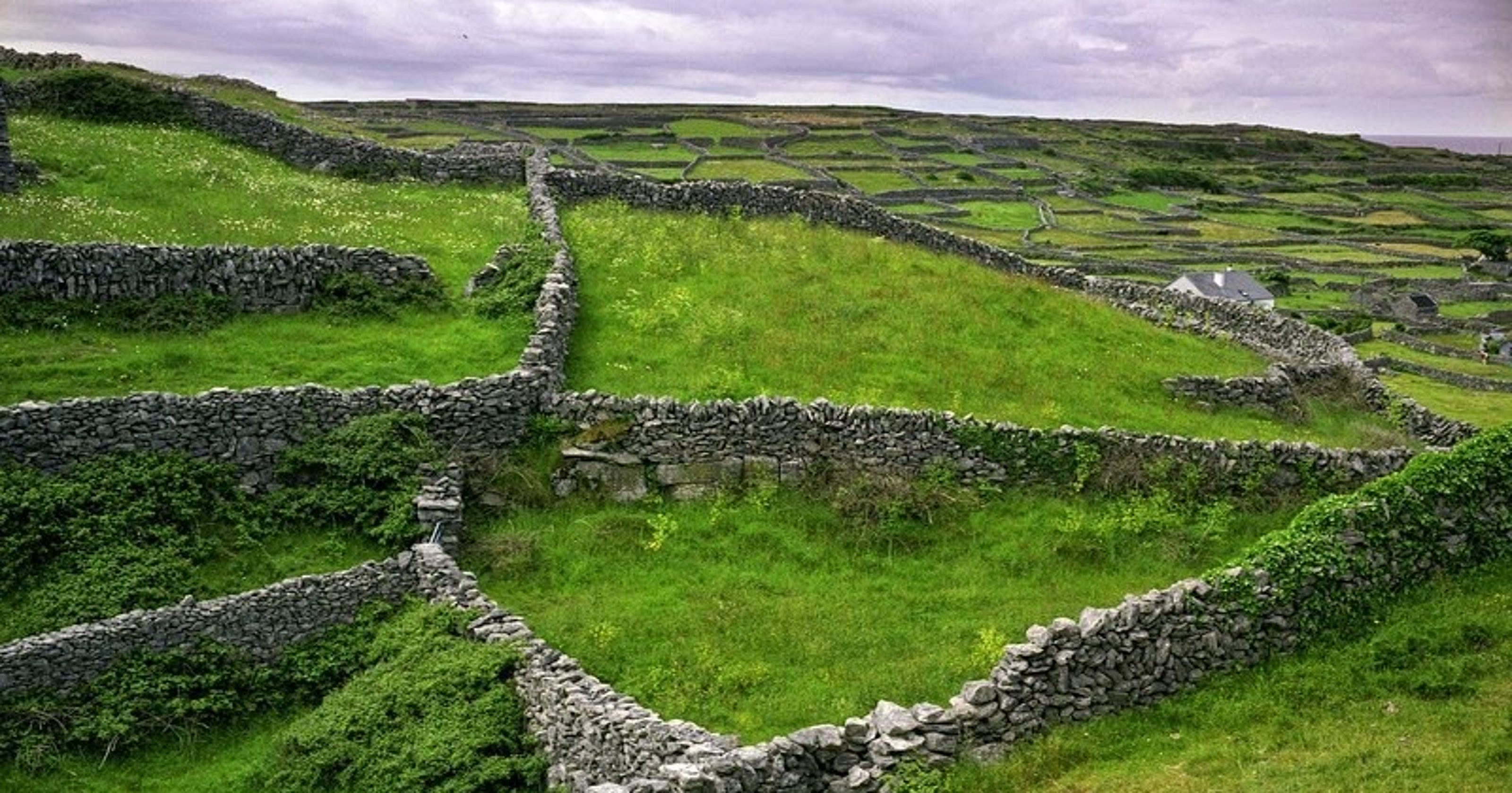 do the irish celebrate st patrick day in ireland