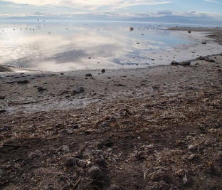 Elevated levels of hydrogen sulfide at the Salton Sea are causing the air to smell like rotten eggs. The stench comes during a heatwave that's causing near-record temperatures.