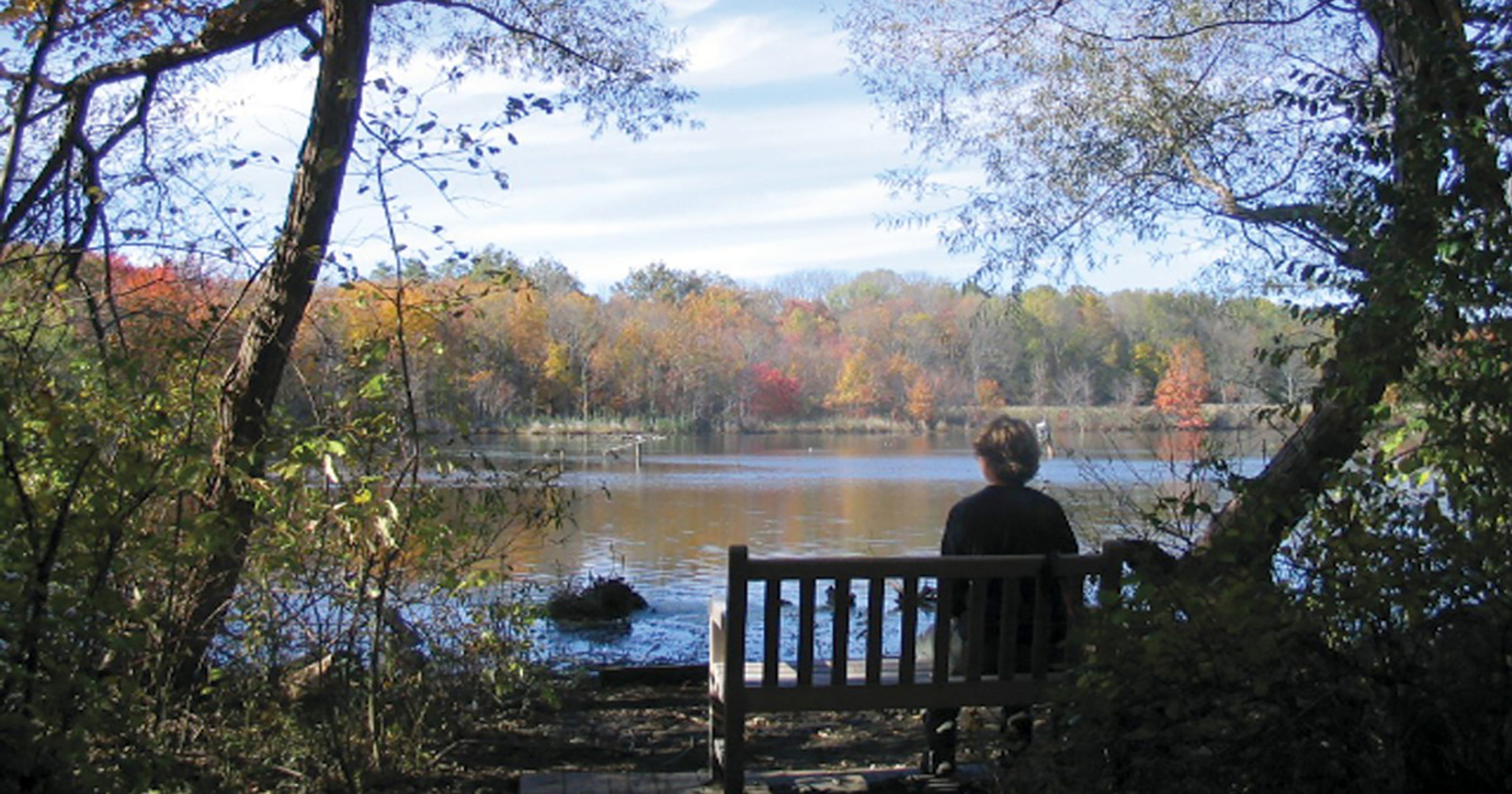 Best Fall Hikes In Or Near North Jersey Best Fall Hikes In Or Near North Jersey