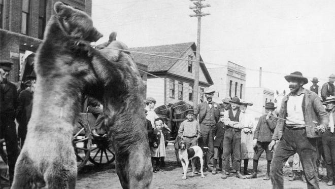The St. Cloud Street Fair circa 1905 featured dancing bears on the west side of Sixth Avenue North in downtown St. Cloud, in front of the building now housed by Geo-Comm. The Street Fair was a free event that brought crops, livestock, vendors and activities to downtown St. Cloud.