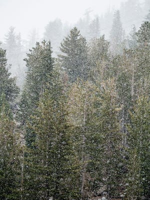 A file photo showing snow falling over Mt. Rose-Ski Tahoe.