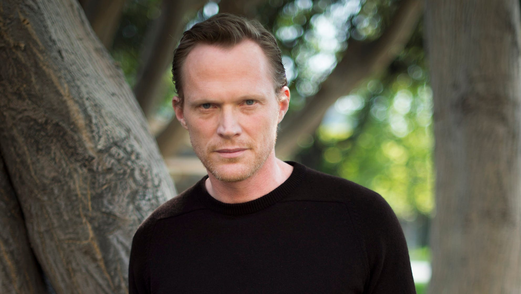 Paul Bettany Is A True Vision In Avengers