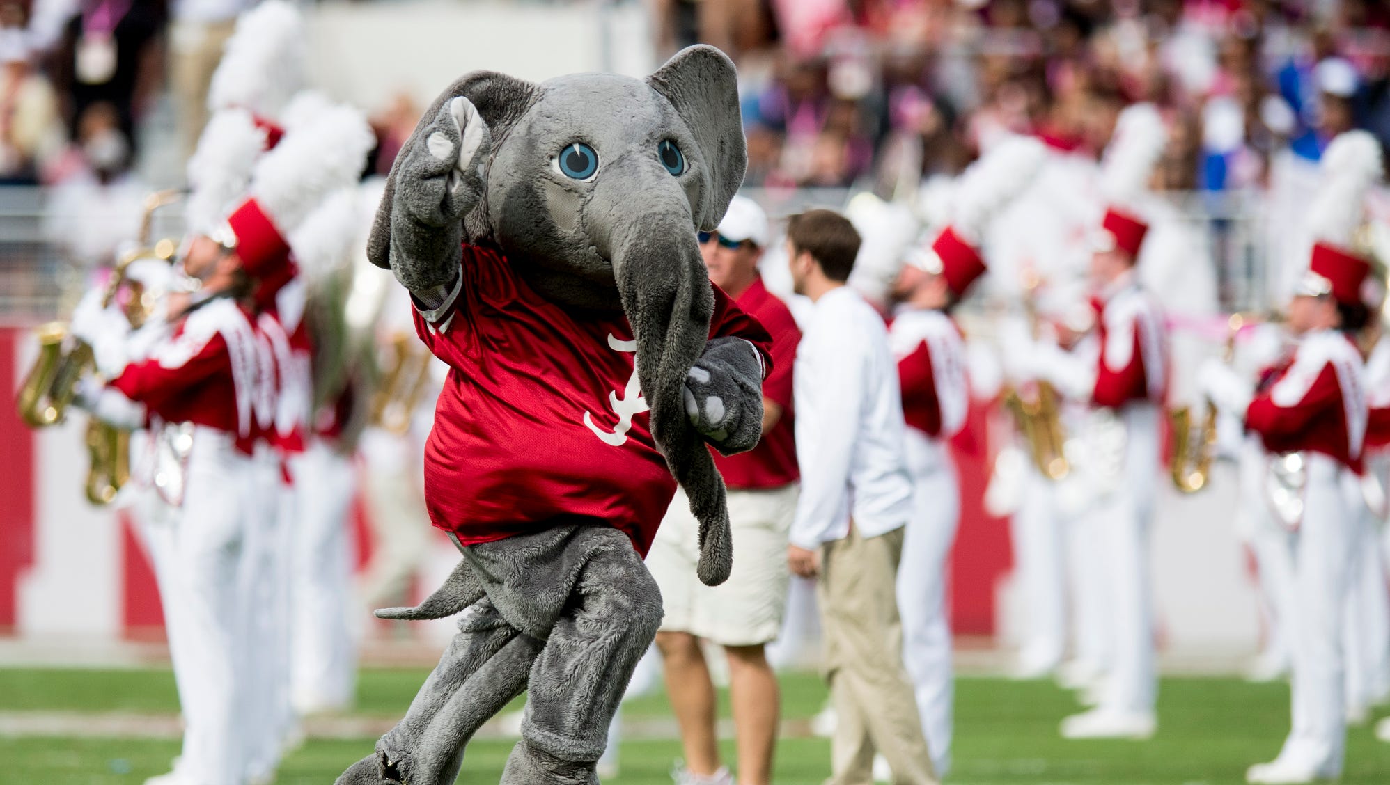 Why Is The Alabama Crimson Tides Mascot An Elephant