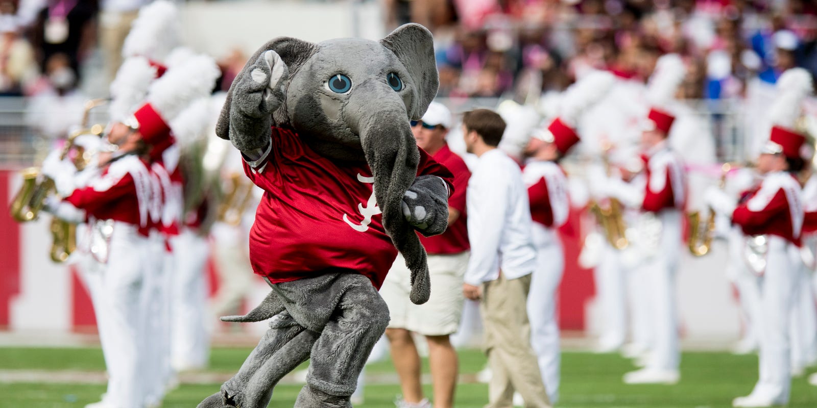 Why Is The Alabama Crimson Tide S Mascot An Elephant