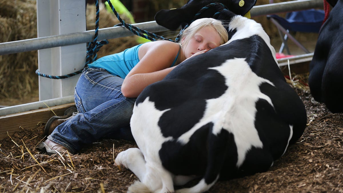 Indiana State Fair 2014 opening day
