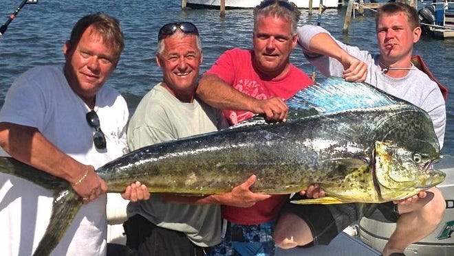 You can bet a catch like this 75-pound bull dolphin would be a winner in any of the nine tournaments scheduled offshore Port Canaveral and Sebastian Inlet in May and June. Shown with the catch are, from left, Ron Fuller, Brian Rowland who fought the dolphin, Ted Pernal, and Ryan Fuller. They were trolling in 170 feet of water outside Sebastian Inlet. The dolphin was over 6 feet in length and fought Rowland for more than an hour.
