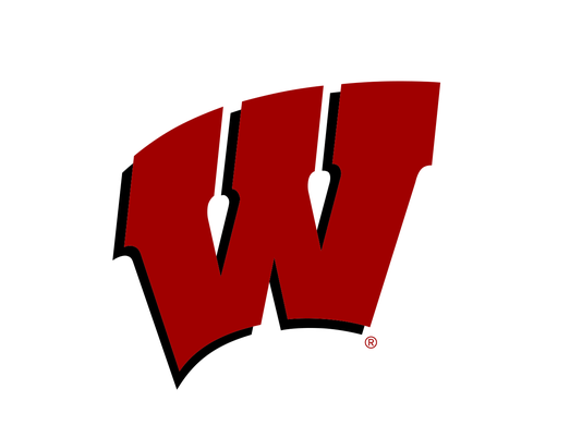 More Badgers advance to national meet