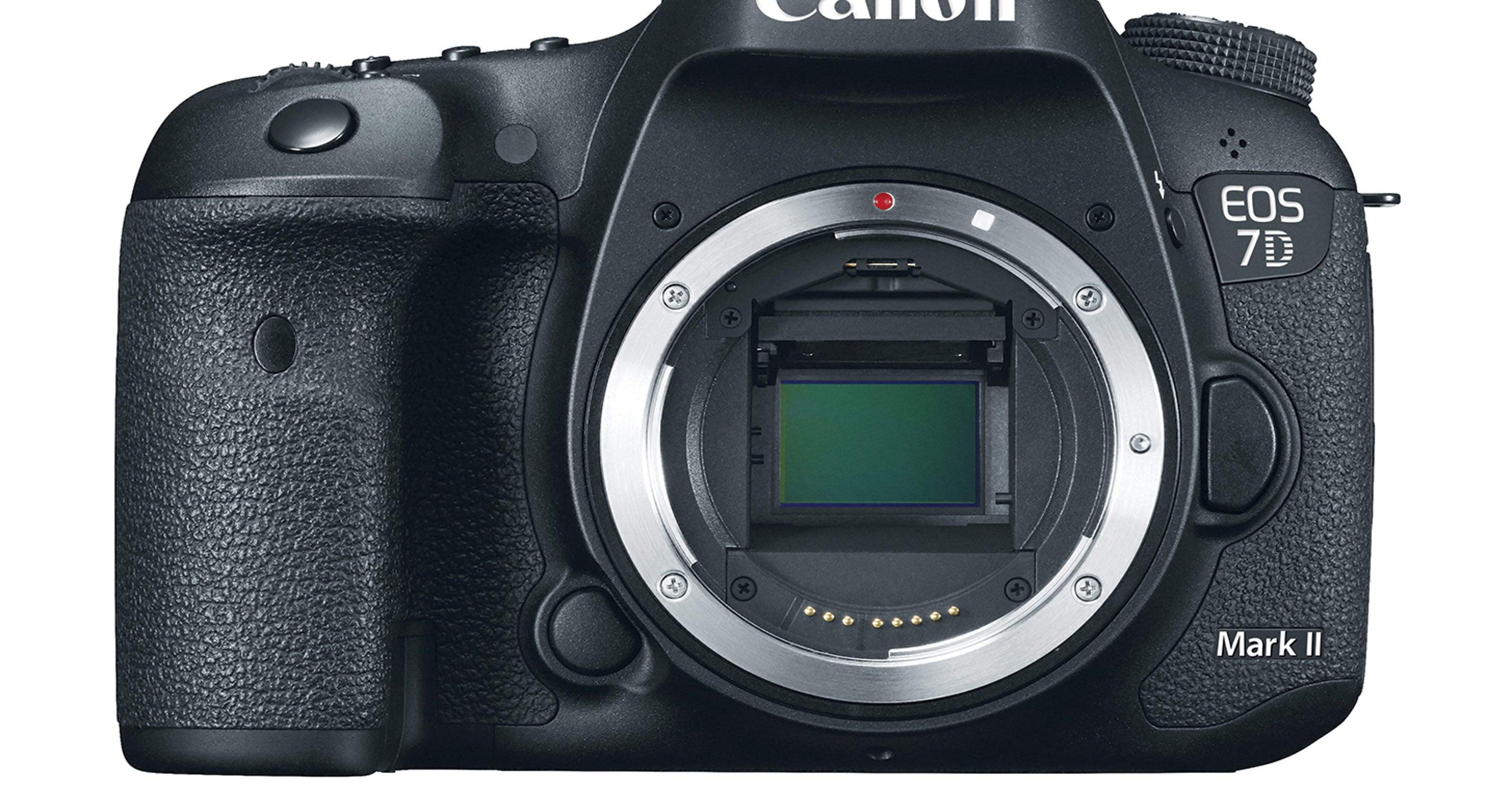 Canon reveals 7D Mark II with three new lenses