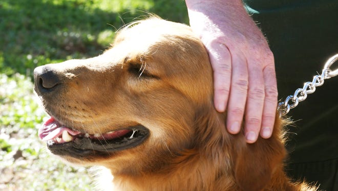 Greenfield's pet limit stays at two dogs or cats without a pet fancier permit and four with a permit.