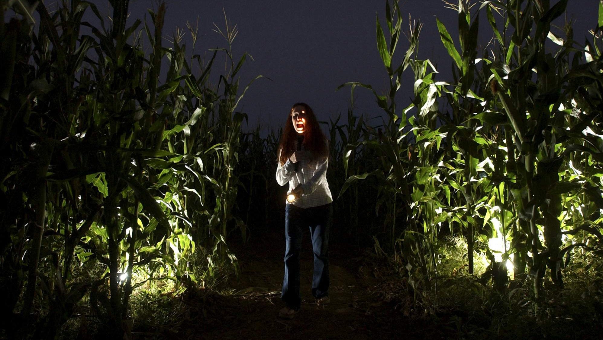 10 Halloween corn mazes around Arizona