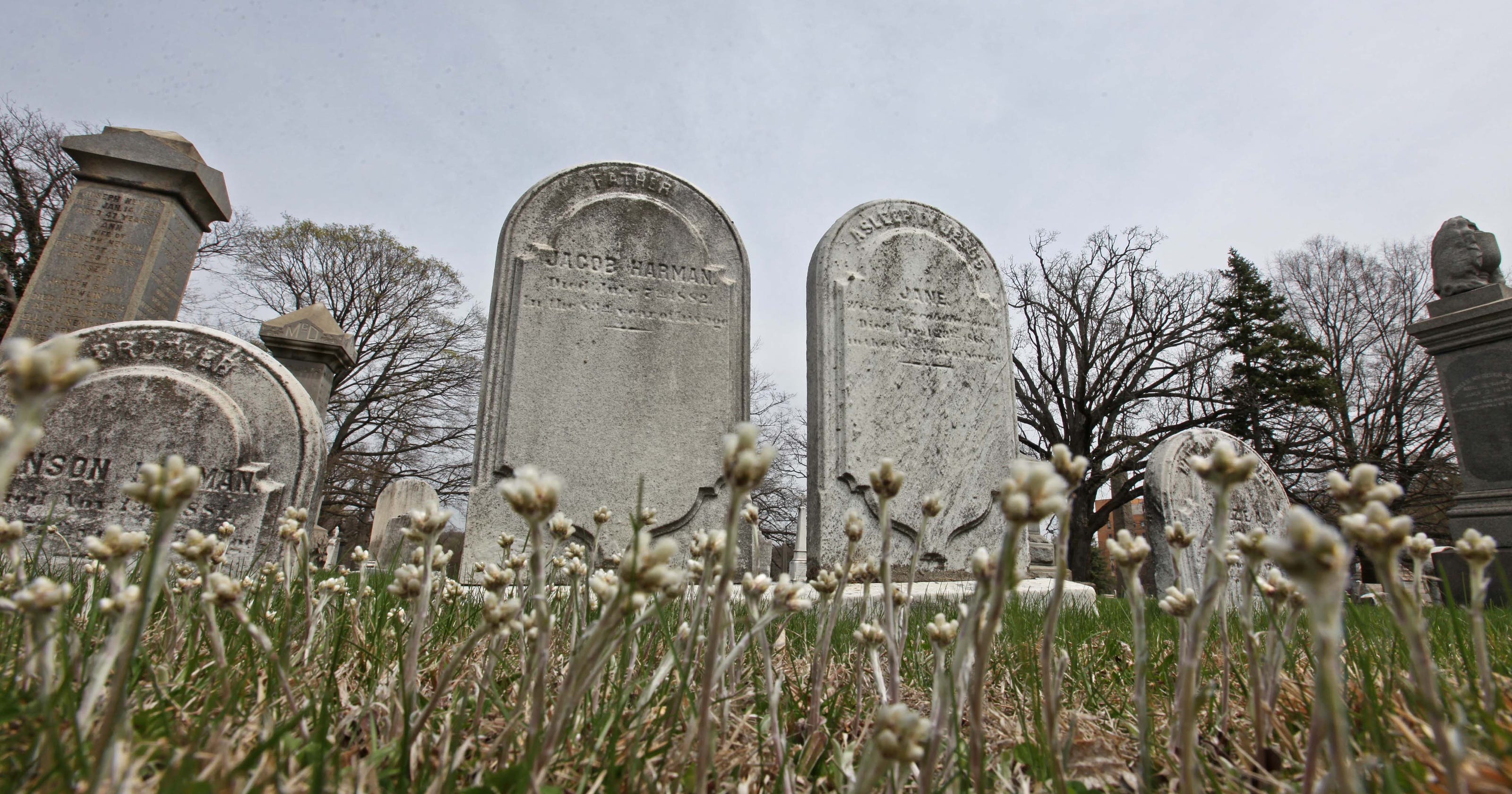 Cemetery offers a lasting history Cemetery offers a lasting history