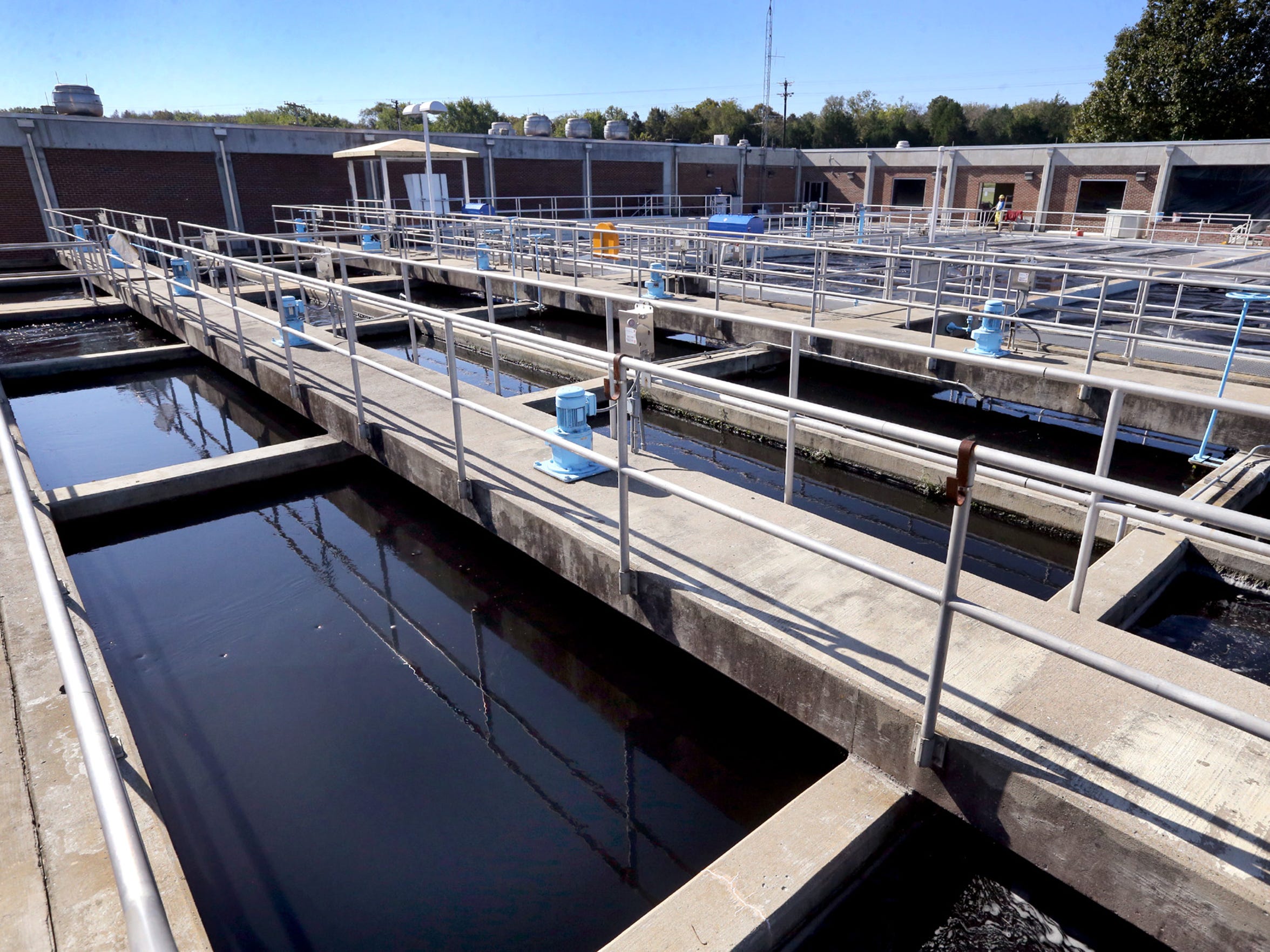 Rutherford growth needs water