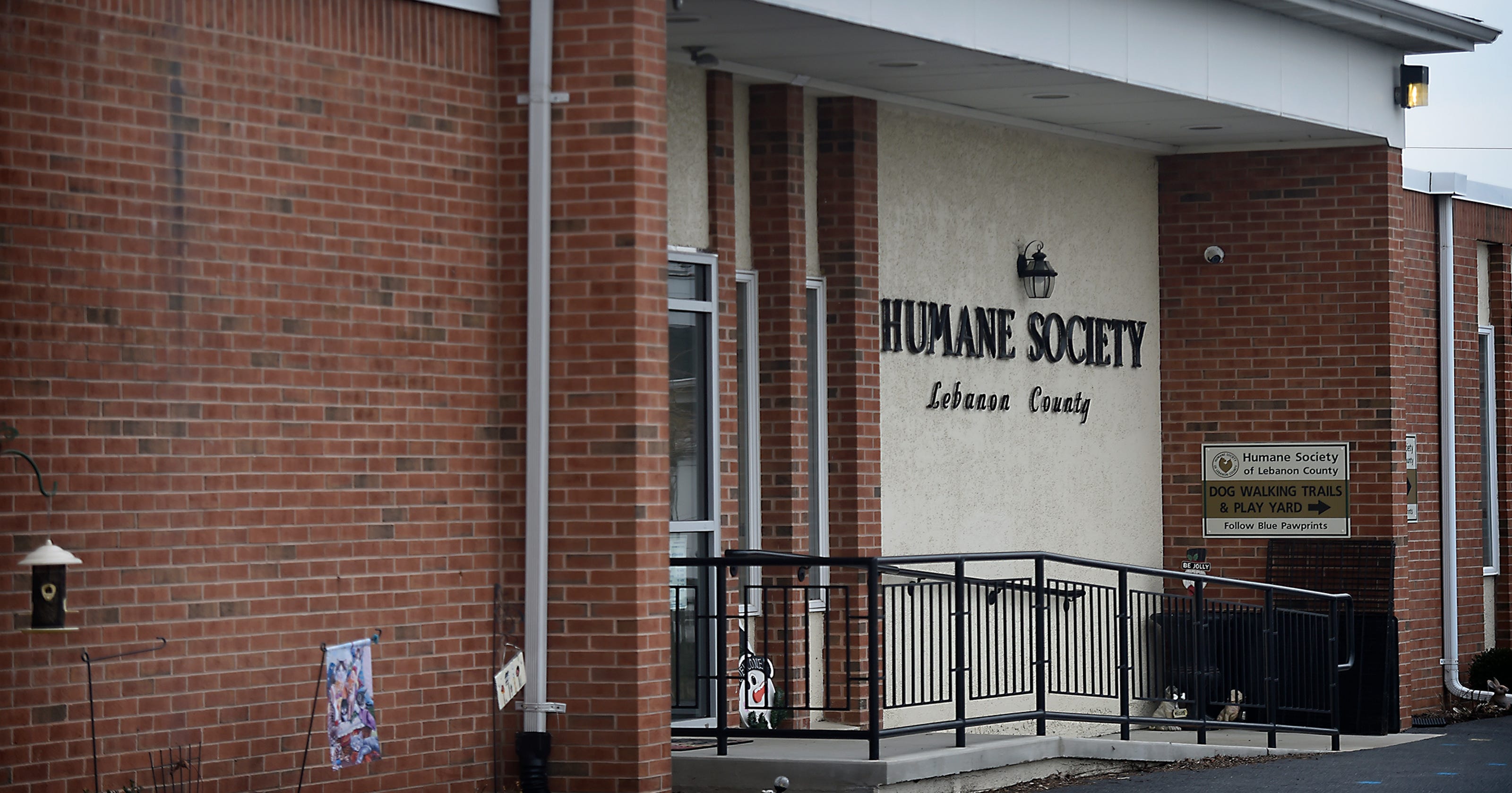 Vet blasts Lebanon Humane Society for giving adopters wrong info