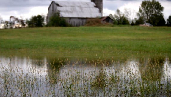 A flooded field along Elam Road on Tuesday, Oct. 14, 2014.