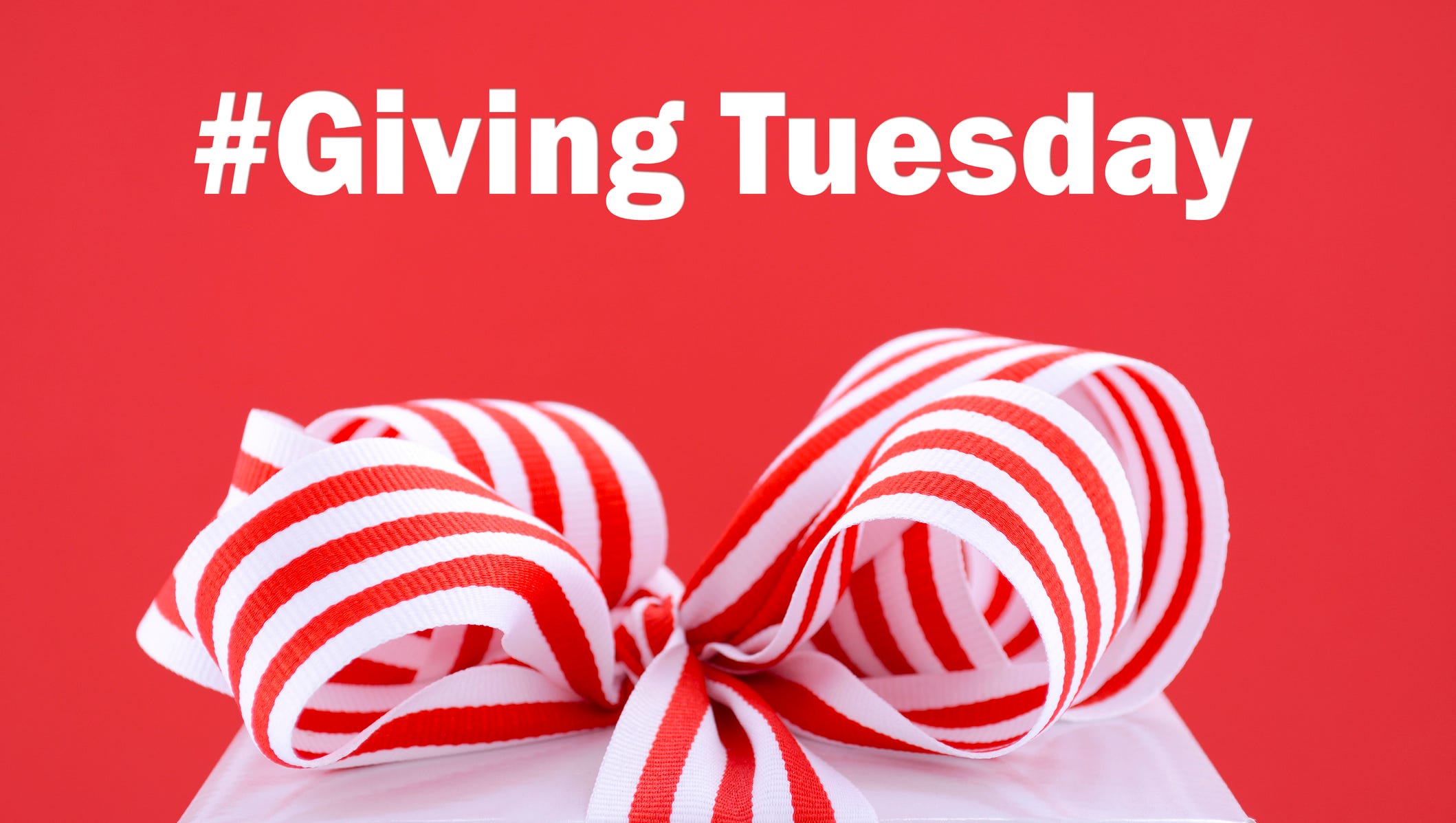 Giving Tuesday How You Can Help On Day For Charity