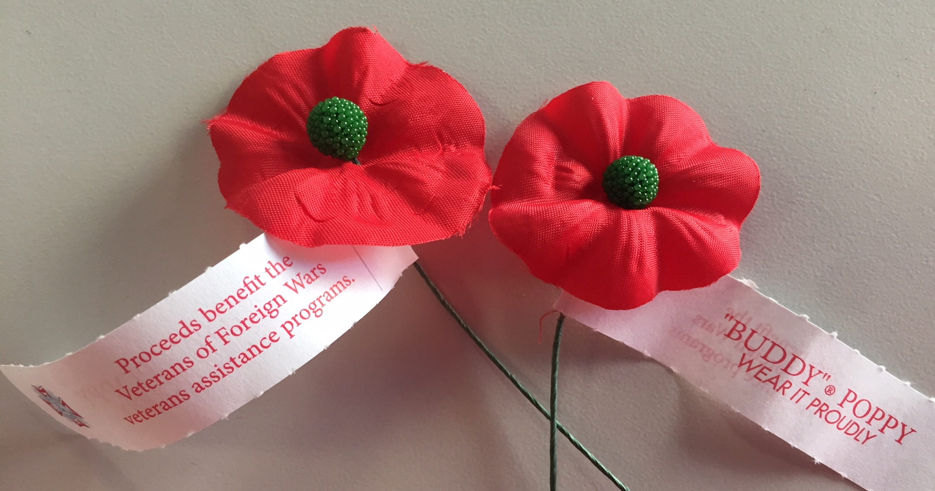 Red poppies remind us to remember veterans' sacrifice on Memorial Day