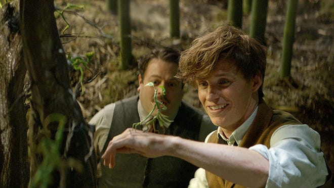 Eddie Redmayne and Dan Folger star in “Fantastic Beasts and Where to Find Them.”