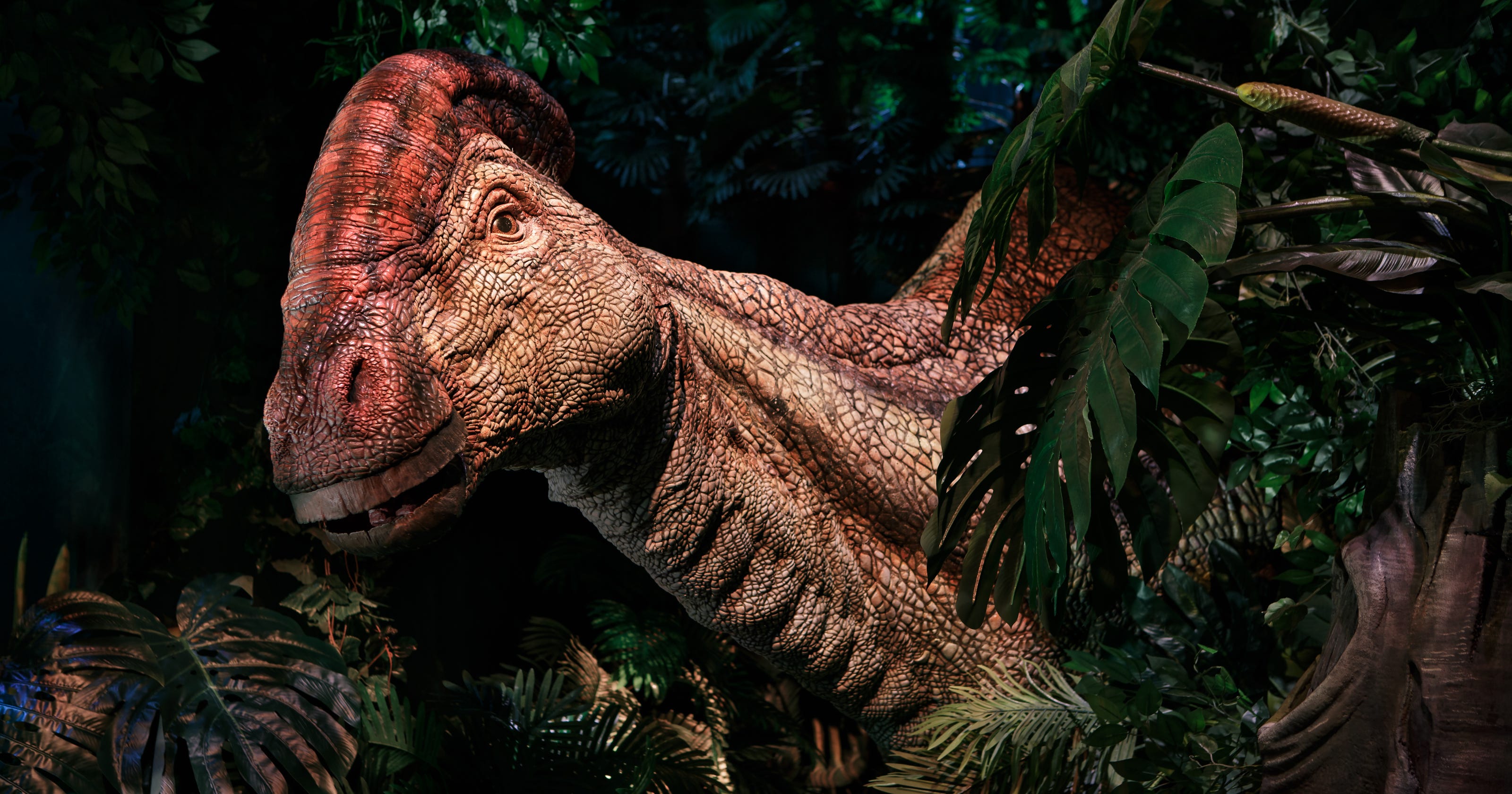 mid jurassic dinosaurs