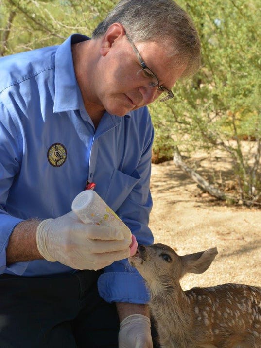 Mike Demlong feeding fawn