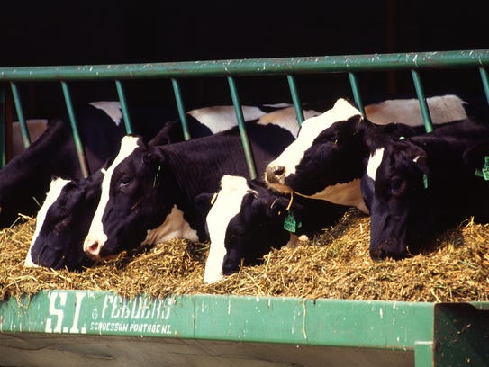 Dairy hormone manufacturer Elanco argues that Arla's