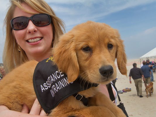 Dog Friendly Beaches In New Jersey