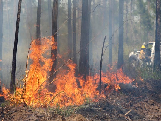 Fire Danger Around Tallahassee Very Real