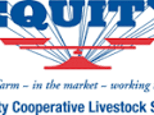 equity livestock market reports