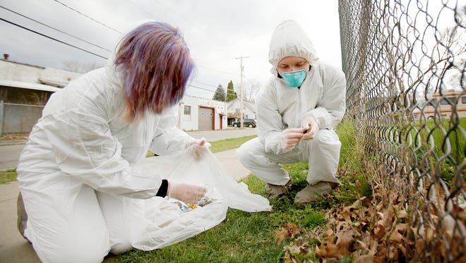 Elmira High School sophomore Danniyell Allowed and junior William Borden scour a patch of leaves for tobacco waste and liter near the intersection of Allen and South Main streets in Elmira Friday as part of the Reality Check initiative to raise awareness of tobacco effects.