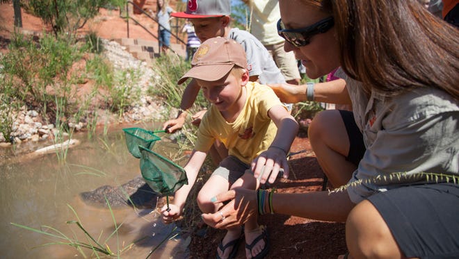 Crew members from the Utah Division of Wildlife Resources educate St. George citizens while stocking the Red Hills Desert Garden with native minnows Friday, Sept. 11, 2015.