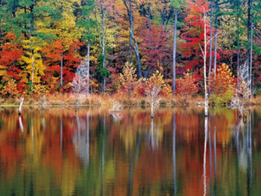 Best Fall Colors In Texas Best Fall Colors In Texas