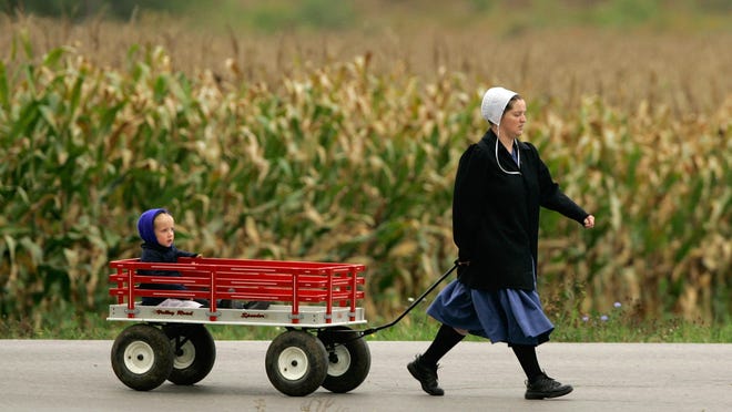 An Amish woman walks with a child in a wagon past the cornfields of Burton Township, Ohio, the state with the largest Amish population in the U.S.