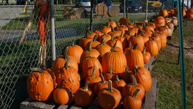 Lakes Park's annual  Fall and Halloween Festival begins Friday and runs daily through Oct. 31.