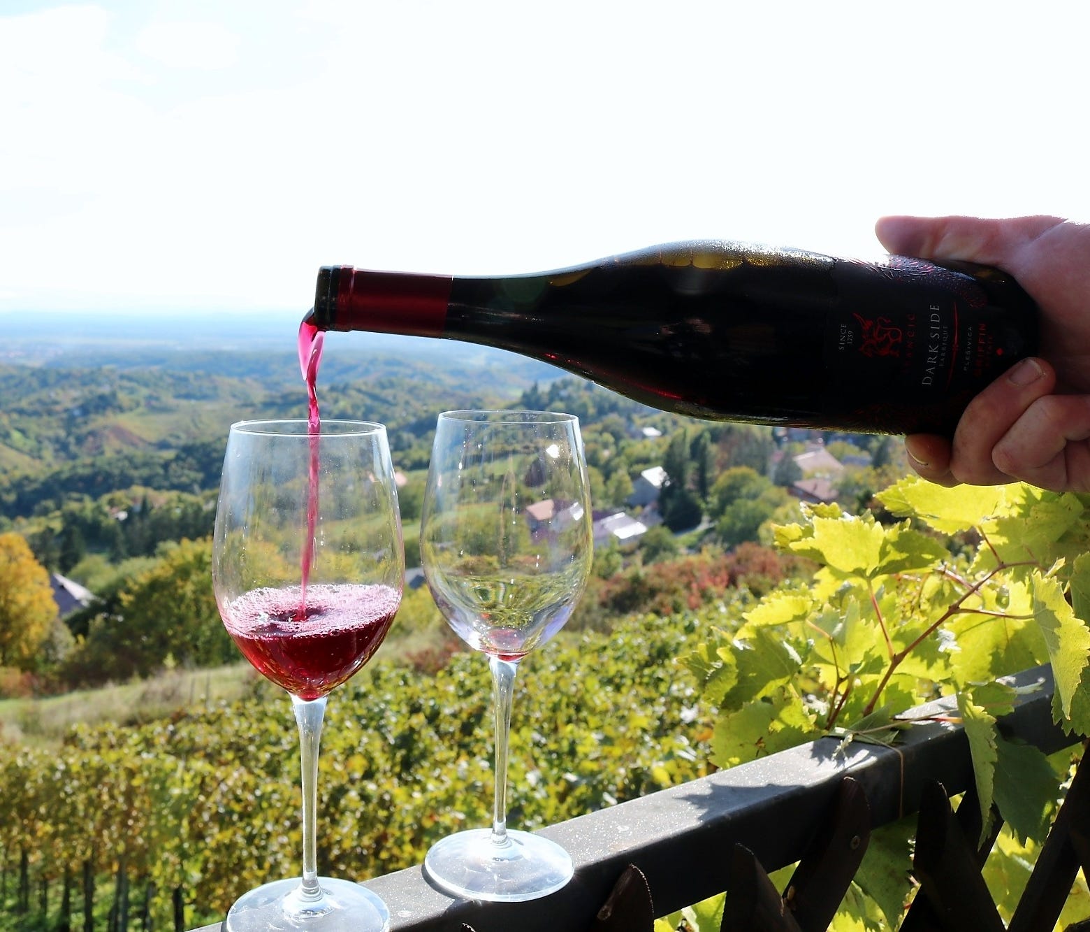 One of the most in-demand wines Ivančić produces is an unusual offering, a sparkling red wine 