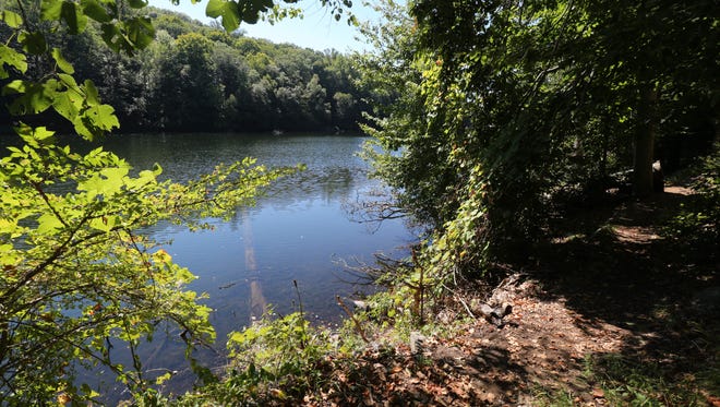 A view from the newly opened Twin Lakes Trail, a 2.3 mile loop, at Teatown Lake Reservation in Ossining.