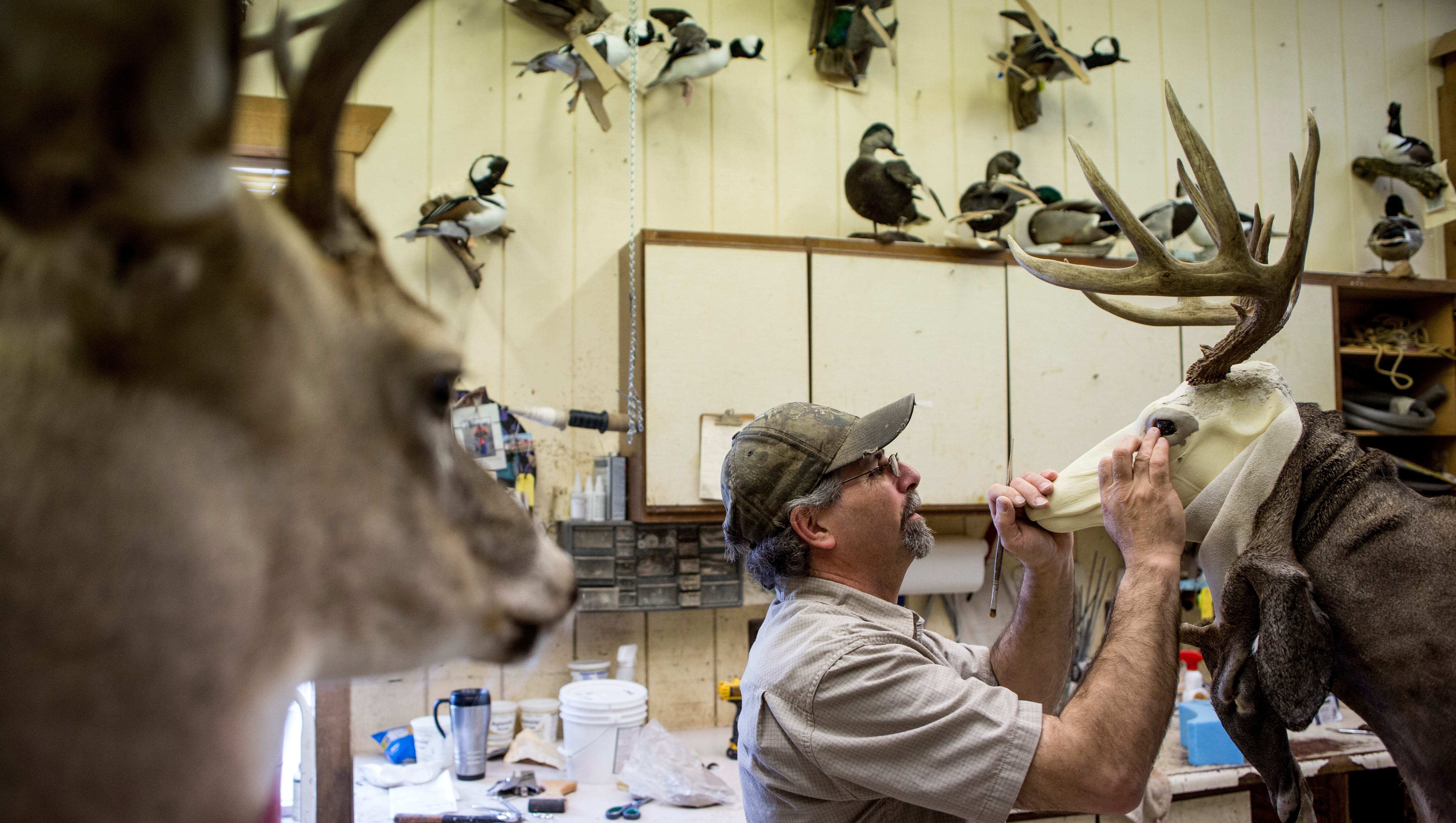 taxidermists-find-art-after-the-hunt