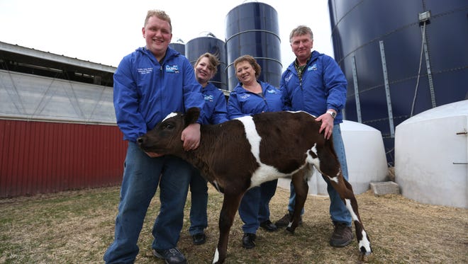 Mark and Vickie Schwahn, right, pose for a portrait with their son and daughter-in-law, Justin and Victoria, and a two-month-old calf on their County Line Dairy Farm on Tuesday, April 5, in town of Maple Grove. The Schwahns raise corn, alfalfa, beans and wheat on a combination of 350 owned and rented acres.